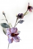 Magnolie 3fach 3 Bl&uuml;ten 3 Knospen 10 Bl&auml;tter 78cm mauve